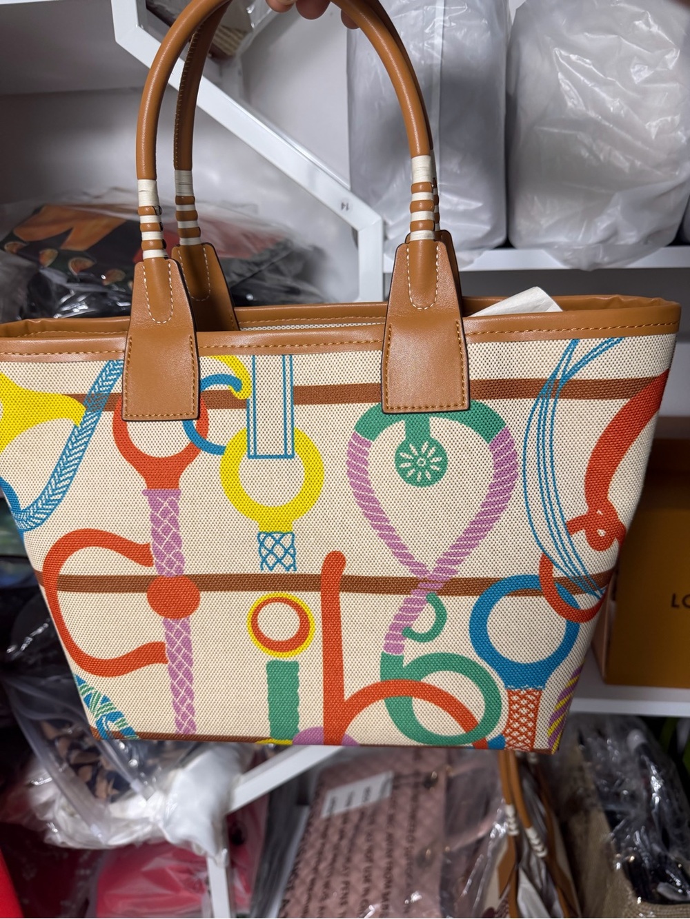 Brown Trim Multicolor Canvas Tote Bag